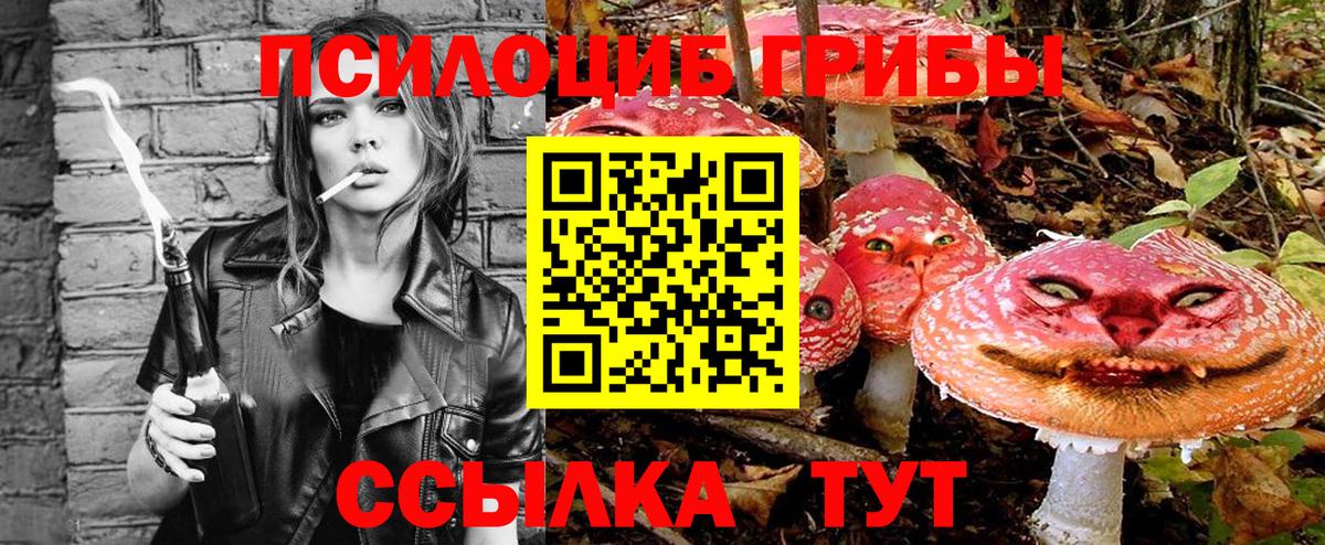 Аксай  Галлюциногенные грибы Psilocybe  Вход с VPN 